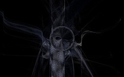 2014 12 15 Shadow Play 044-black.jpg